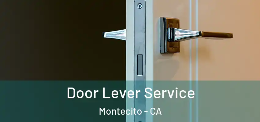  Door Lever Service Montecito - CA