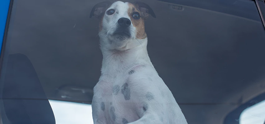 Car Lockout Solutions in Montecito, California